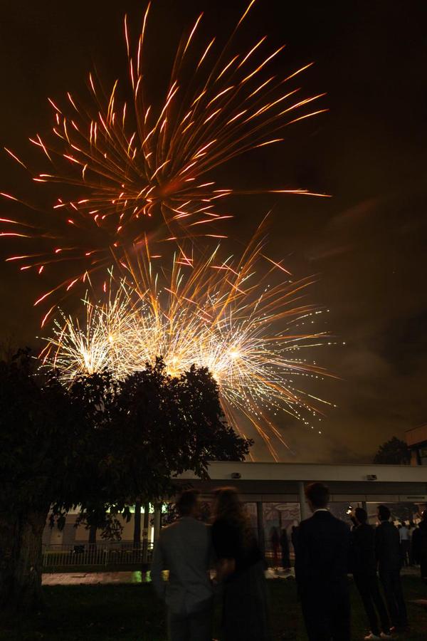 Invités regardant le feu d'artifice au-dessus des arbres